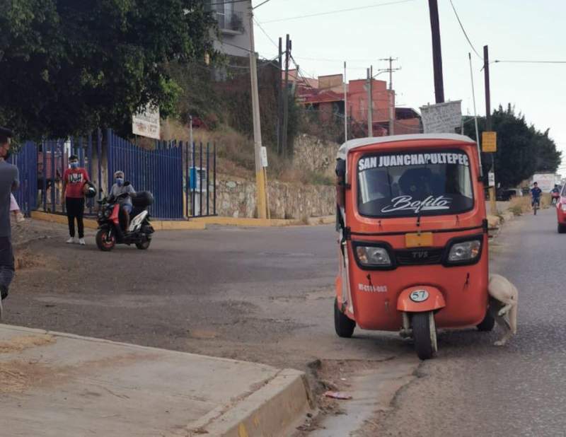 Mototaxista golpeó y arrastró a un perro en la ciudad de Oaxaca