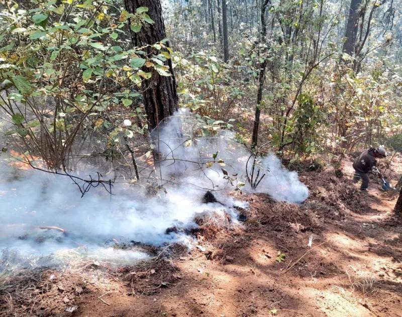 Suman 110 incendios forestales en Oaxaca; hay dos activos