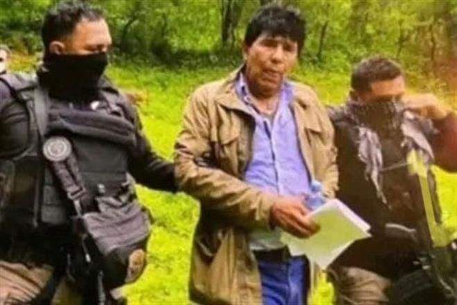 El líder del narco Caro Quintero, buscado en EU, fue hallado entre matorrales en Choix, Sinaloa, gracias a un elemento canino.