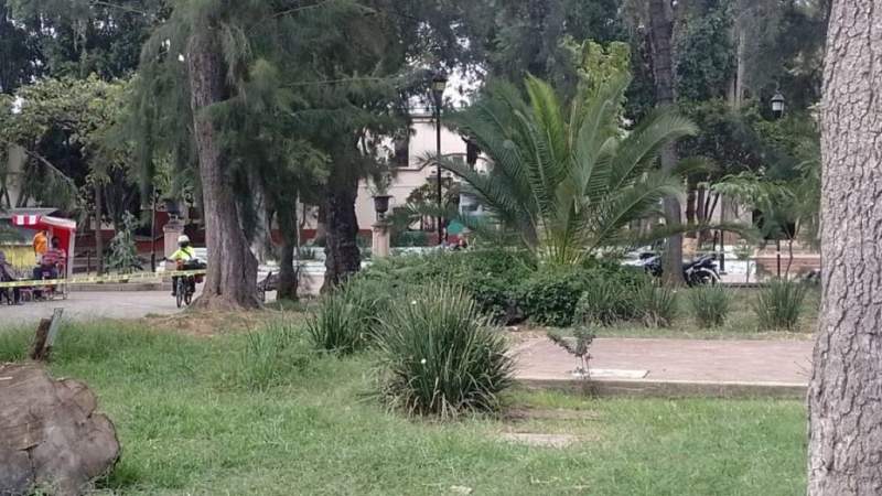 Otro muerto en la ciudad de Oaxaca, ahora en un parque