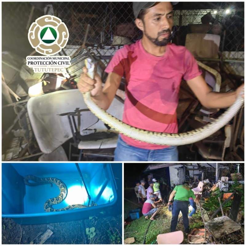 ¡Una serpiente en la Escuela Normal de Río Grande Oaxaca!