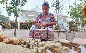 Con más de 40 artesanos, regresa el segundo Tianguis Artesanal del Papaloapan, en Oaxaca