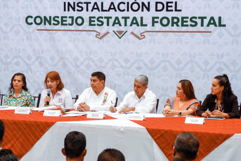 Defensa y respeto a los recursos forestales de los pueblos originarios: Gobernador Salomón Jara