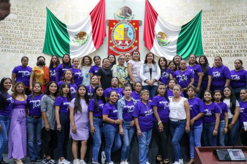 No más violentadores en el gobierno, pide brigada violeta al H. Congreso de Oaxaca