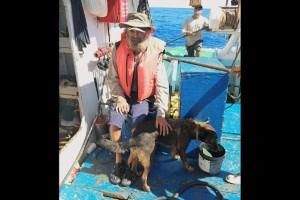 Conoce a ‘Bella’, la perrita rescatada en el Pacífico